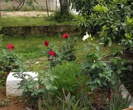 Apartamento Jakov *