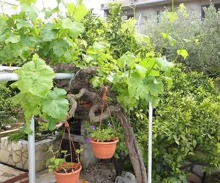 Jakov Apartamento
